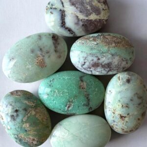 You Choose Chrysoprase LARGE Palm Stone | Reiki Healing Crystal for Compassion & Renewal You Choose Chrysoprase LARGE Palm Stone | Reiki Healing Crystal for Compassion & Renewal