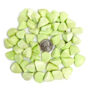 Chrysoprase (1) Lemon Chrysoprase Tumbled Stone Polished Light Yellow Green Natural Gemstone