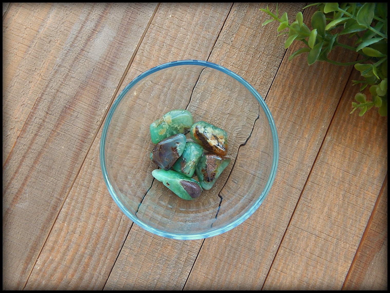Tumbled Chrysoprase Tumbled Chrysoprase