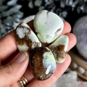 Lemon Chrysoprase Tumble. Tumbled Chrysoprase