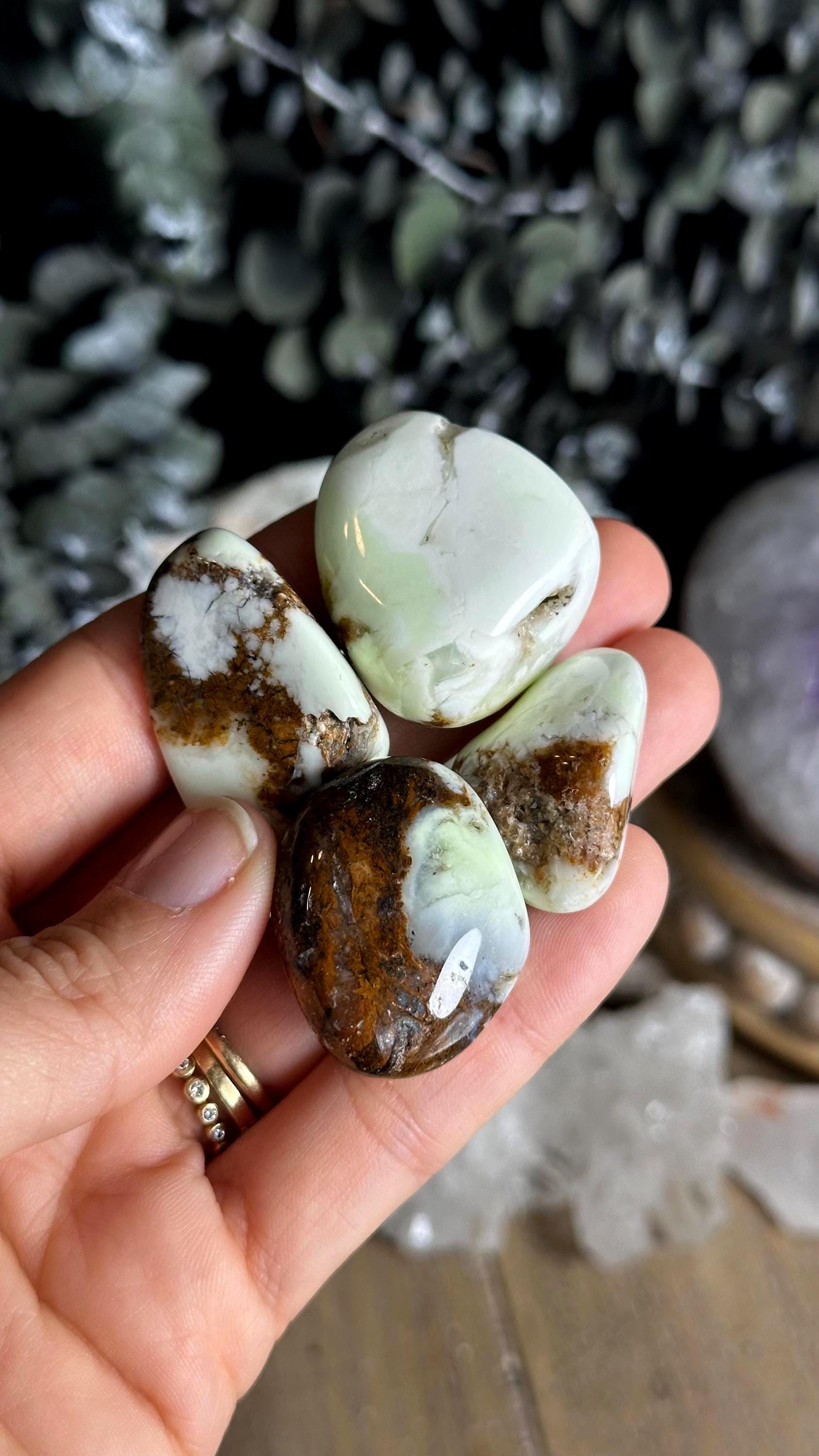 Lemon Chrysoprase Tumble. Tumbled Chrysoprase