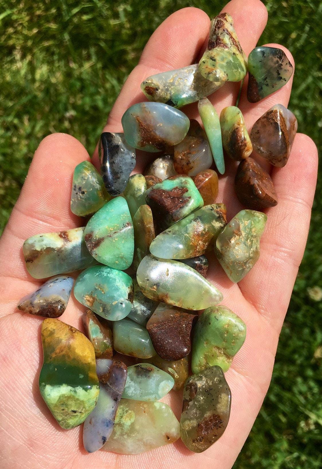 Chrysoprase Tumbled Stone - Multiple Sizes Available - Tumbled Chrysoprase Crystal - Polished Chrysoprase Gemstone - Natural Chrysophase Chrysoprase Tumbled Stone - Multiple Sizes Available - Tumbled Chrysoprase Crystal - Polished Chrysoprase Gemstone - Natural Chrysophase