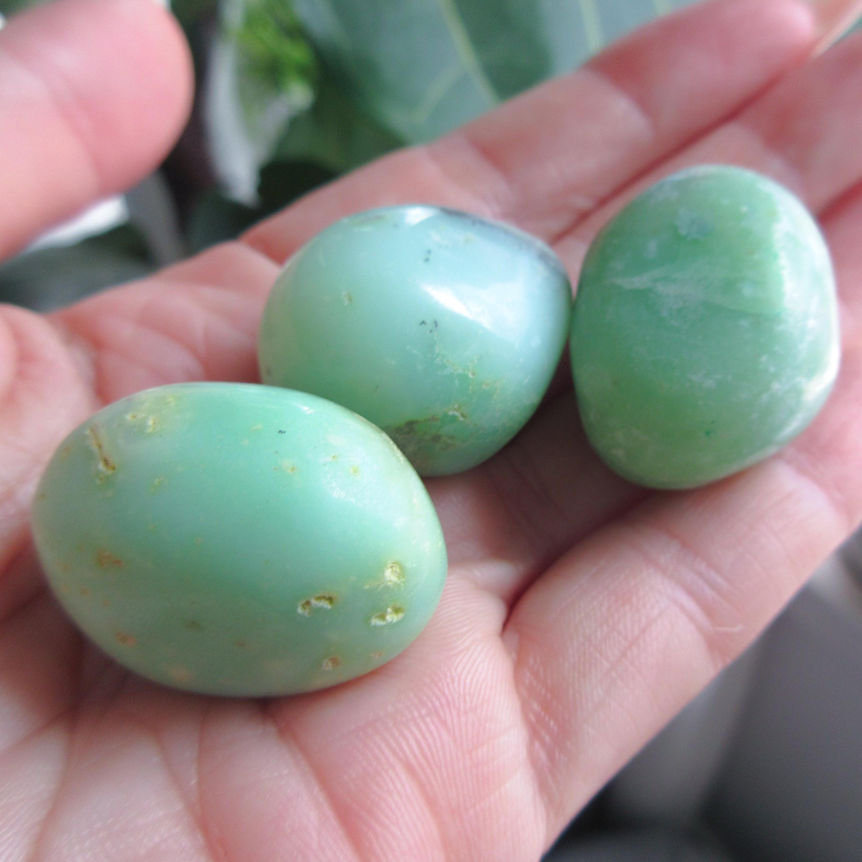 Chrysoprase Tumble Stone- Heart Chakra - Money - Abundance - Joy - Passion - Clarity
