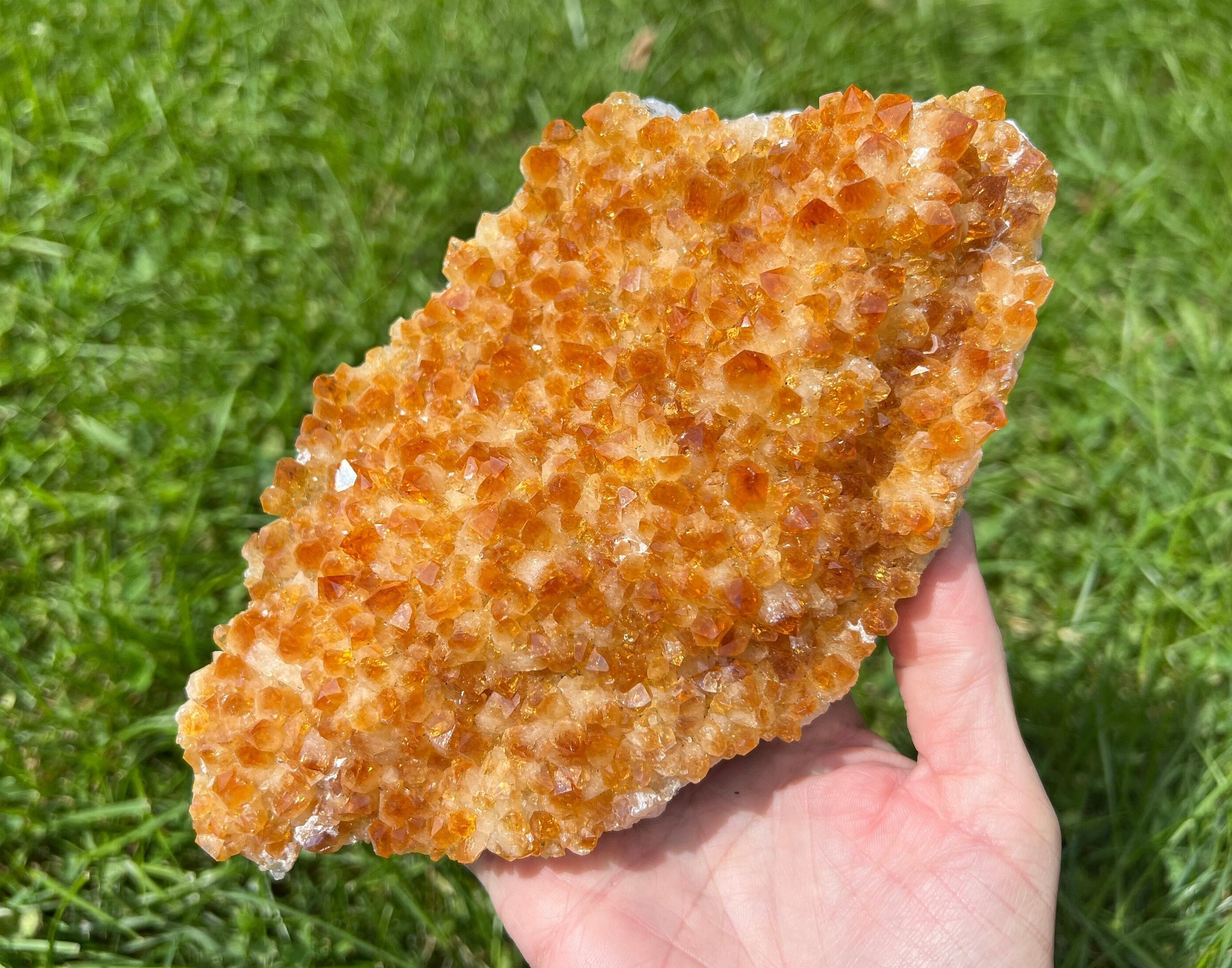 8" Citrine Cluster, Huge Druzy Display Piece, Large Plate, Bright Orange, Birthday , For Mom, Crystals For Wealth, Abundance 8" Citrine Cluster, Huge Druzy Display Piece, Large Plate, Bright Orange, Birthday , For Mom, Crystals For Wealth, Abundance