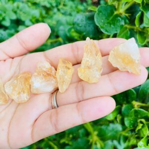 Raw Citrine Crystal: Rough Quartz Stone (25-40mm)