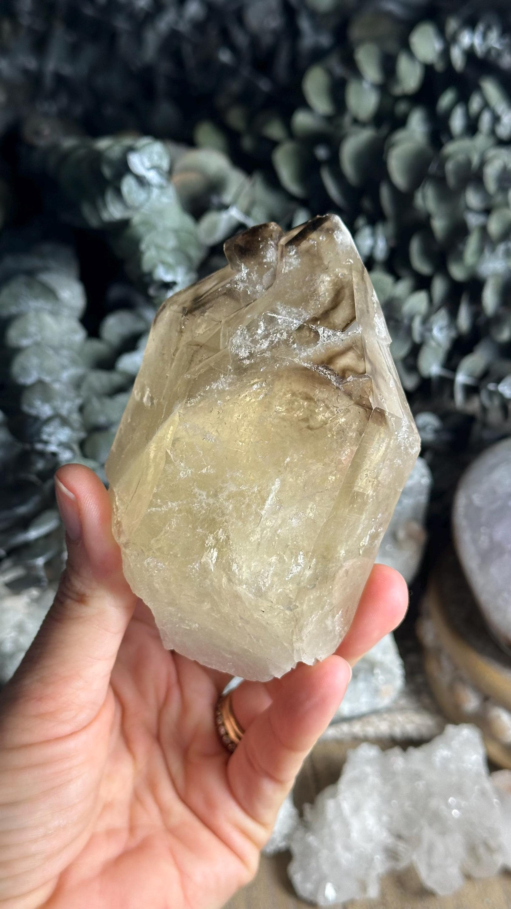 Raw Elestial Smoky Citrine Phantom Quartz Rough Point: Brazilian Citrine Raw Elestial Smoky Citrine Phantom Quartz Rough Point: Brazilian Citrine