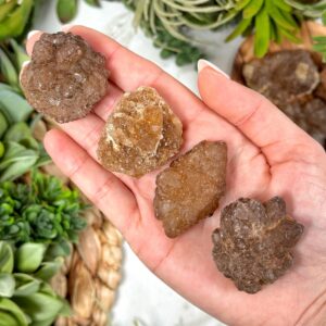 Citrine Cluster | 1-2 Oz | - No. 819 (raw Yellow Crystal Specimen, Solar Plexus Chakra) Citrine Cluster | 1-2 Oz | - No. 819 (raw Yellow Crystal Specimen, Solar Plexus Chakra)