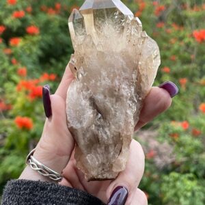 Kundalini Citrine, Citrine Cluster- Natural Citrine Kundalini Citrine, Citrine Cluster- Natural Citrine