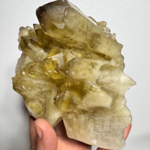 Xl Raw Congo Citrine Skull | Rare Crystal Skull | Skull Art | Specimen Skulls | Handcarved Skull Citrine Cluster Xl Raw Congo Citrine Skull | Rare Crystal Skull | Skull Art | Specimen Skulls | Handcarved Skull Citrine Cluster