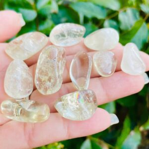 Natural Citrine Crystal: Tumbled Polished Stones (set Of 5)