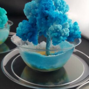 2X Crystal Growing Kits! Fun, Easy and Educational! Amazing and Beautiful! Watch them Grow and Change! Great Gift! Home School Project! Zen!