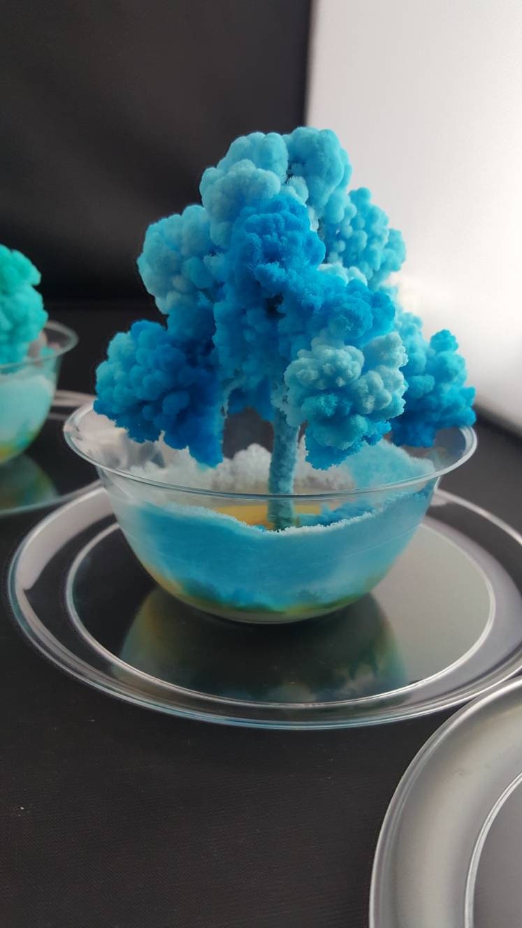 2x Crystal Growing Kits! Fun, Easy And Educational! Amazing And Beautiful! Watch Them Grow And Change! Great Gift! Home School Project! Zen! 2x Crystal Growing Kits! Fun, Easy And Educational! Amazing And Beautiful! Watch Them Grow And Change! Great Gift! Home School Project! Zen!