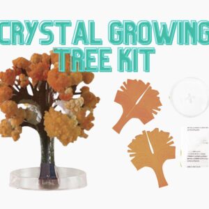 Crystal Growing Craft Kit, Crystal Growing Kit | Kids Nature Craft Gift | Kids Nature Gift, Gift For Kid, Nature Craft