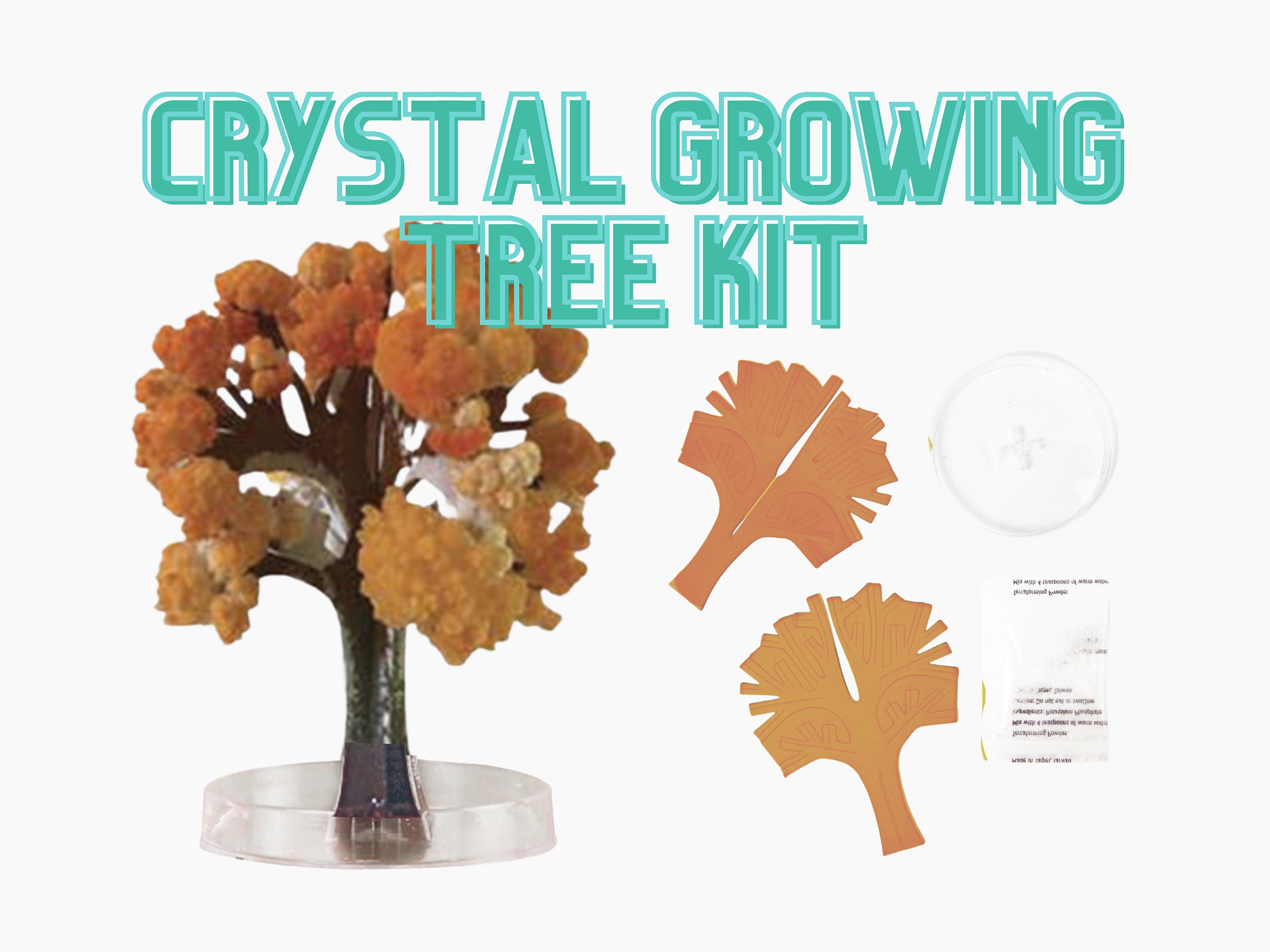 Crystal Growing Craft Kit, Crystal Growing Kit | Kids Nature Craft Gift | Kids Nature Gift, Gift For Kid, Nature Craft