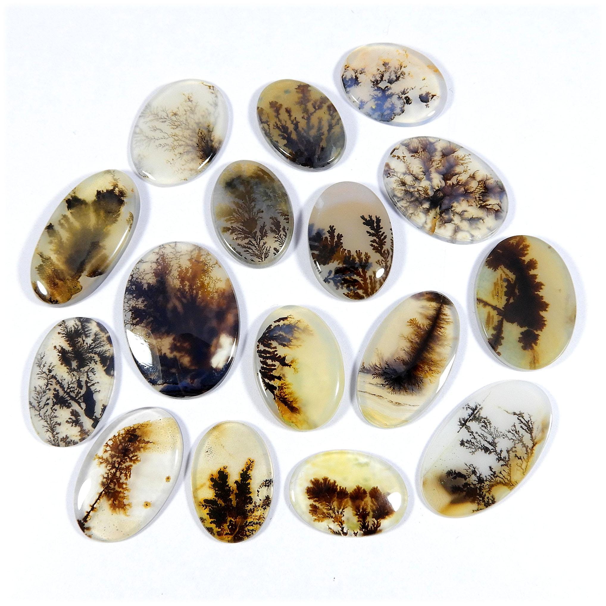 Awesome~ Shazar Dendrite Agate Cabochon. Shazar Dendrite Gemstone. Natural Scenic Dendritic Gemstone. Mix Shape Scenic Loose For Jewelry.