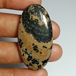 Honey Dendritic Agate Cabochon Gemstone (53 Cts, 44x24 Mm)