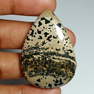 Honey Dendritic Agate Cabochon Gemstone (45x32 Mm)