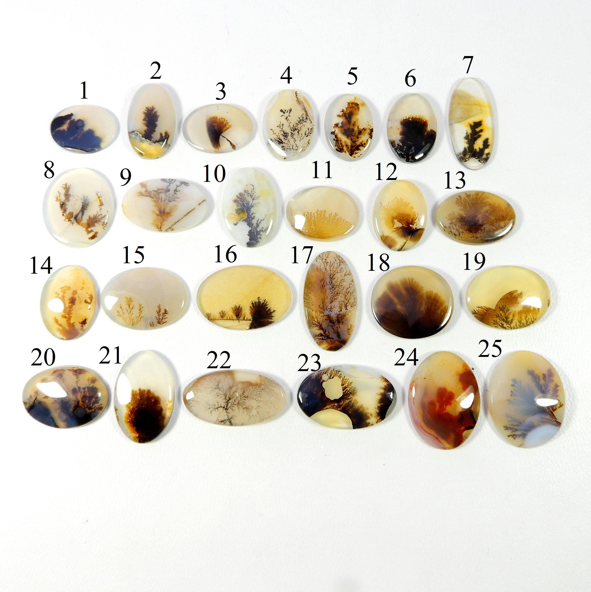 Natural Scenic Dendritic Gemstone. Shazar Dendrite Gemstone. Awesome~ Shazar Dendrite Agate Cabochon. Oval Shape Scenic Loose For Jewelry