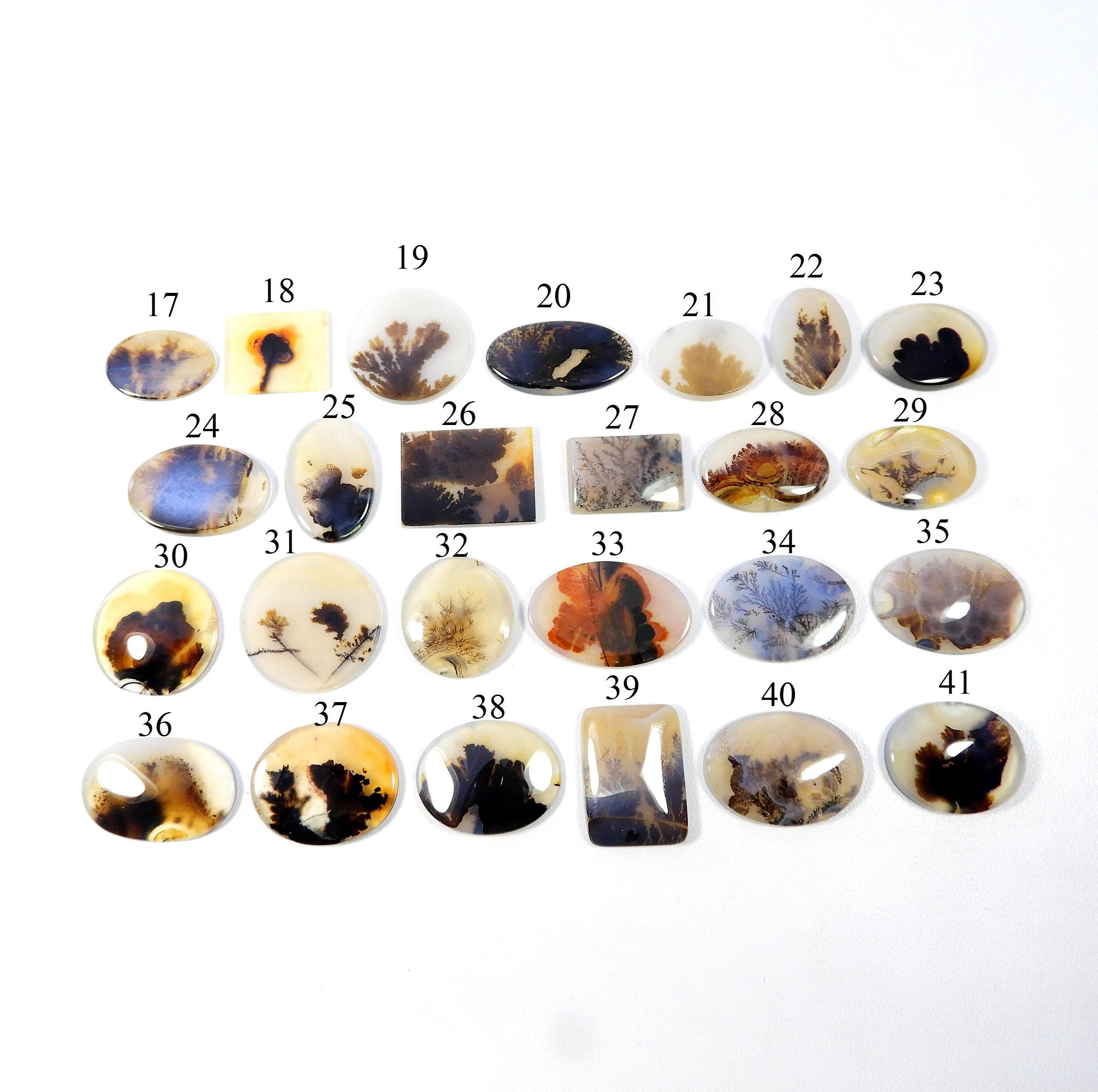 Natural Shazar Dendrite Gemstone. Awesome~ Shazar Dendrite Agate Cabochon. Scenic Dendritic Gemstone. Oval Shape Shazar Wholesale Lot