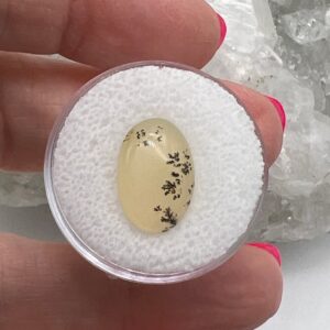 Oval Dendritic Agate Cabochon-3.7ct