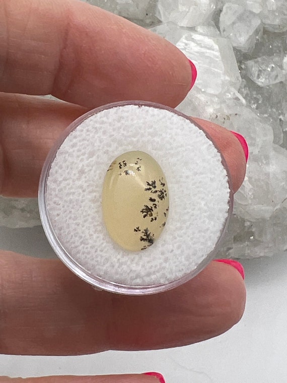 Oval Dendritic Agate Cabochon-3.7ct