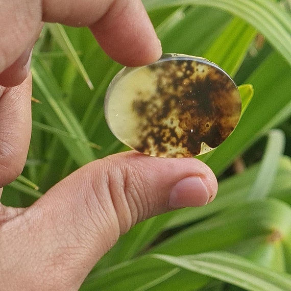 Oval Dendritic Agate Cabochon: Shajar Agate Gemstone (38x27mm)