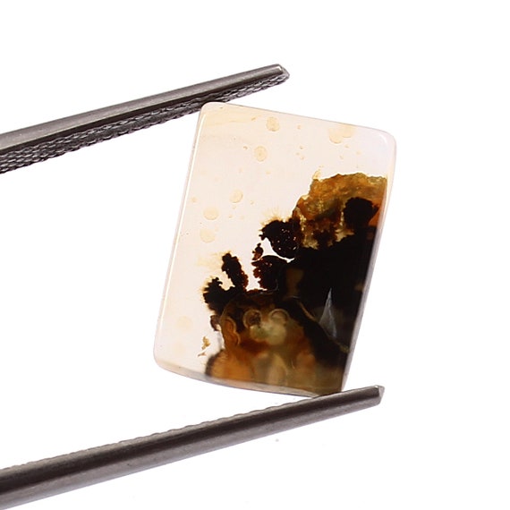 Scenic Dendritic Agate Cabochon: Flat Back Stone For Jewelry Making