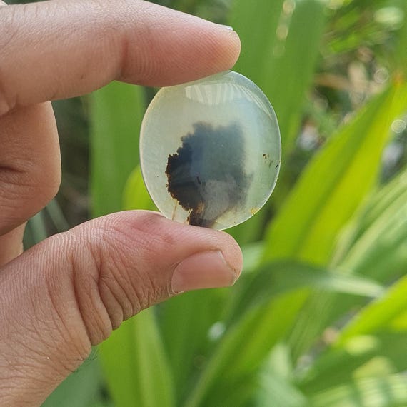 Scenic Dendritic Agate Cabochon: Oval Flat Back, 29x26 Mm