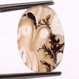 Dendritic Agate Cabochon: Scenic Shajar Gemstone For Jewelry Making