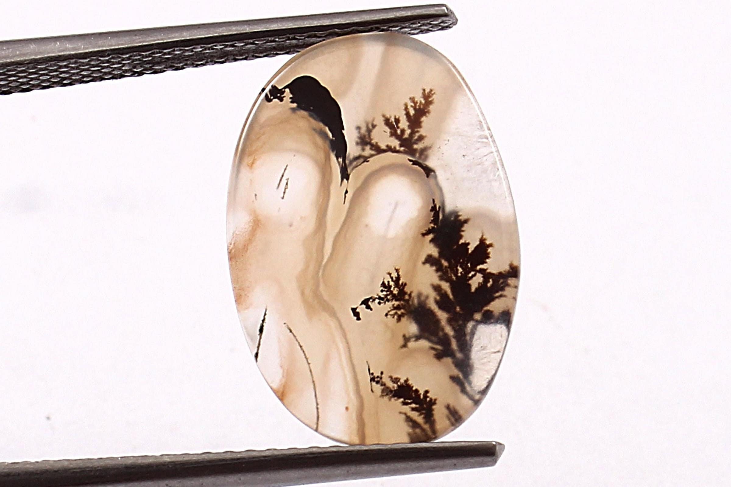 Dendritic Agate Cabochon: Scenic Shajar Gemstone For Jewelry Making