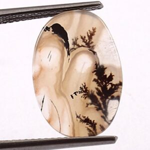 Dendritic Agate Cabochon: Shajar Scenic Gemstone For Jewelry Making