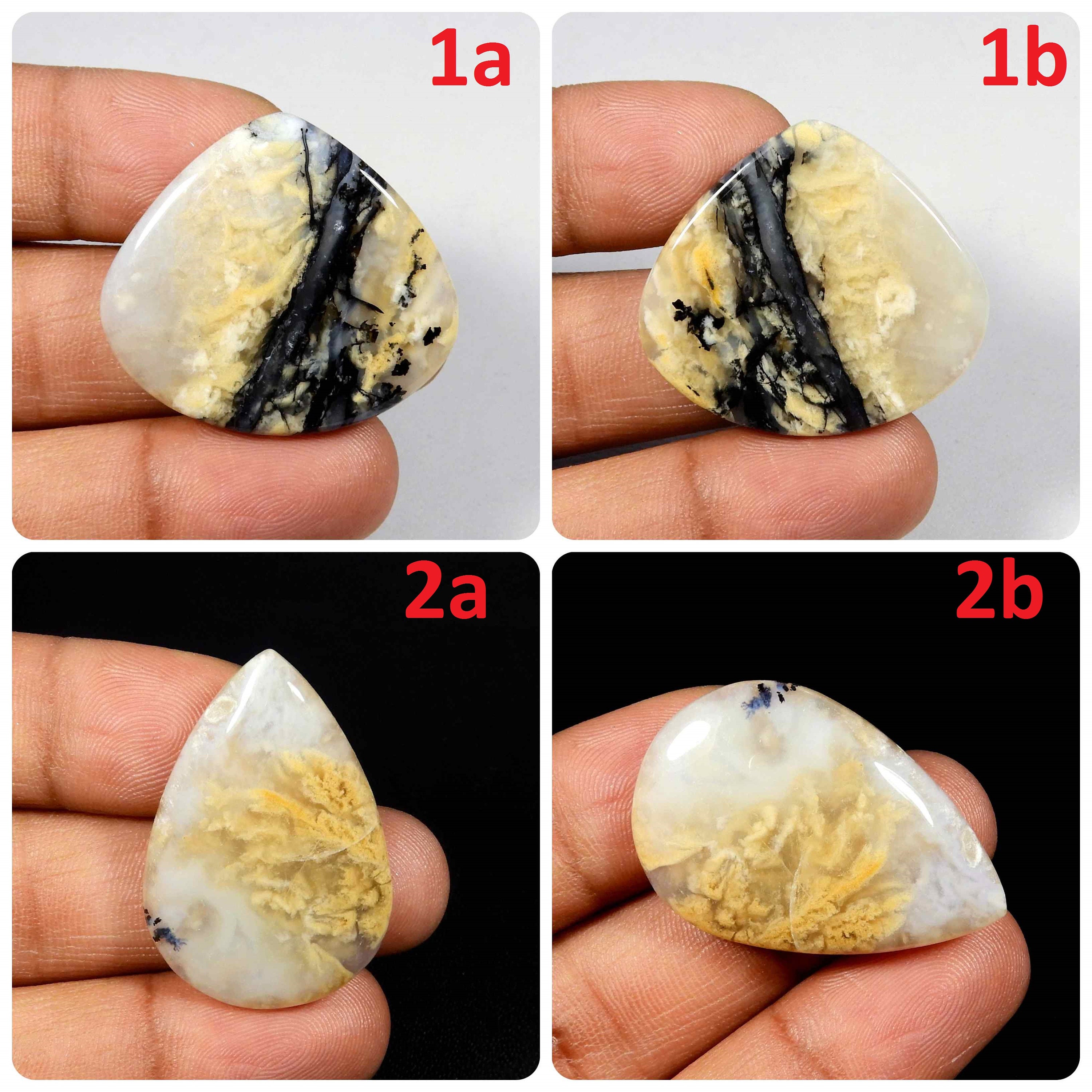 Tiger Dendrite Agate Cabochon. Natural Tiger Dendrite Agate Gemstone. Yellow Dendrite Agate. Wholesale Dendrite For Jewelry. Variation Tg-b