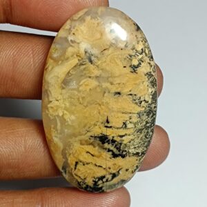 Tiger Dendritic Agate Cabochon: Semi Precious Loose Gemstone (46 X 27 Mm, 68cts.)