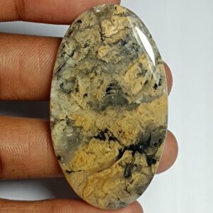 Tiger Dendritic Agate Cabochon: Semi Precious Loose Gemstone (50 X 29 Mm, 58cts.)