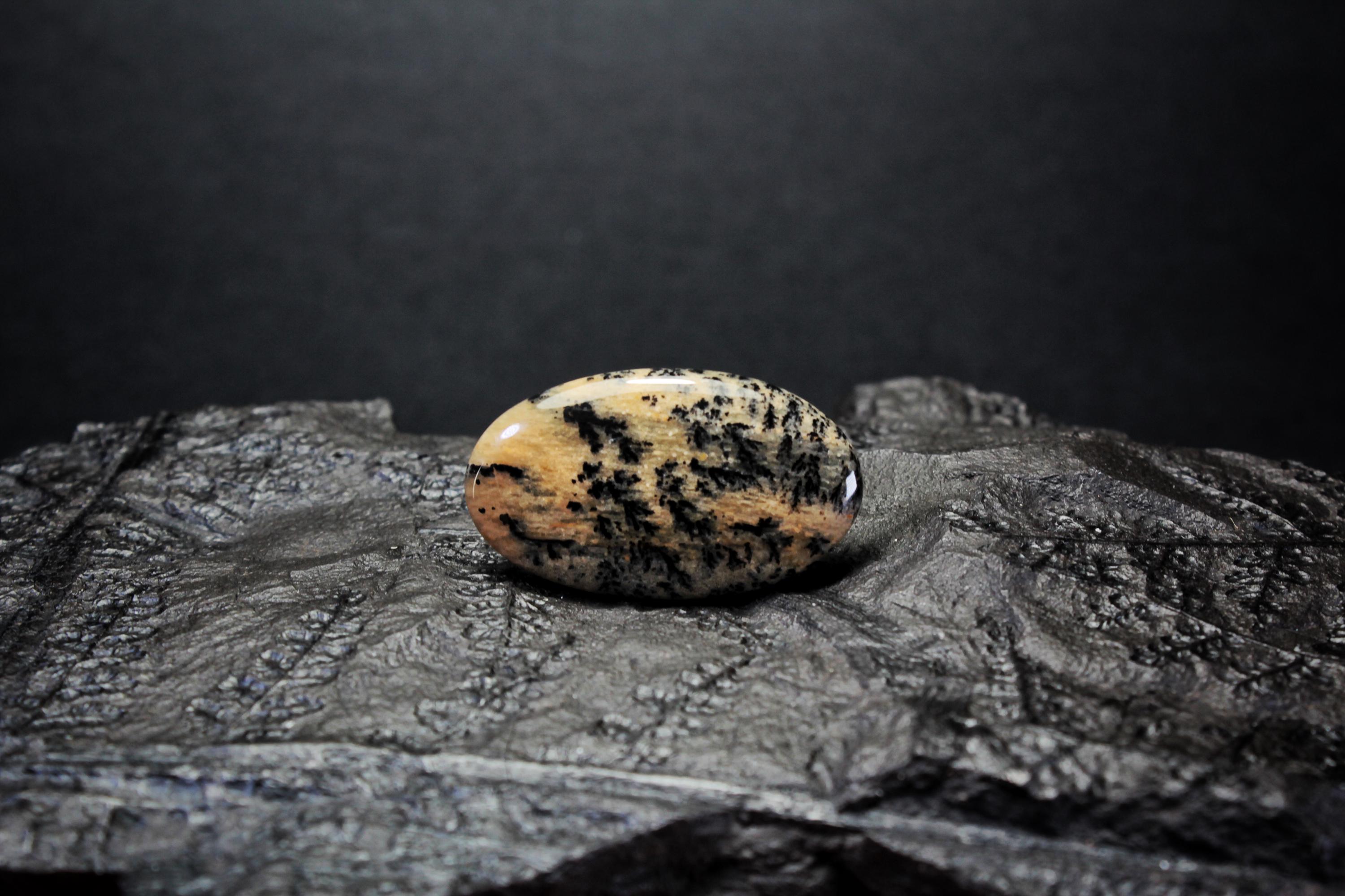 Dendrite Agate Cabochon Russia Agate Cabochon Stone Natural Gemstone Cabochon 30x17x5 Mm 20 Ct Agate Loose Stone Jewelry Dendrite Pendant