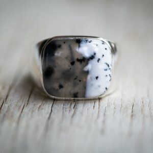 Dendritic Agate Signet Ring – Sterling Silver Mens Jewelry, Size 12 Dendritic Agate Signet Ring – Sterling Silver Mens Jewelry, Size 12