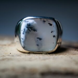 Sterling Silver Dendritic Agate Ring - Size 9 Sterling Silver Dendritic Agate Ring - Size 9