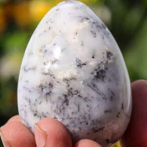 60MM White Dendritic Agate Egg: Chakra Balancing Crystal Decor 60MM White Dendritic Agate Egg: Chakra Balancing Crystal Decor