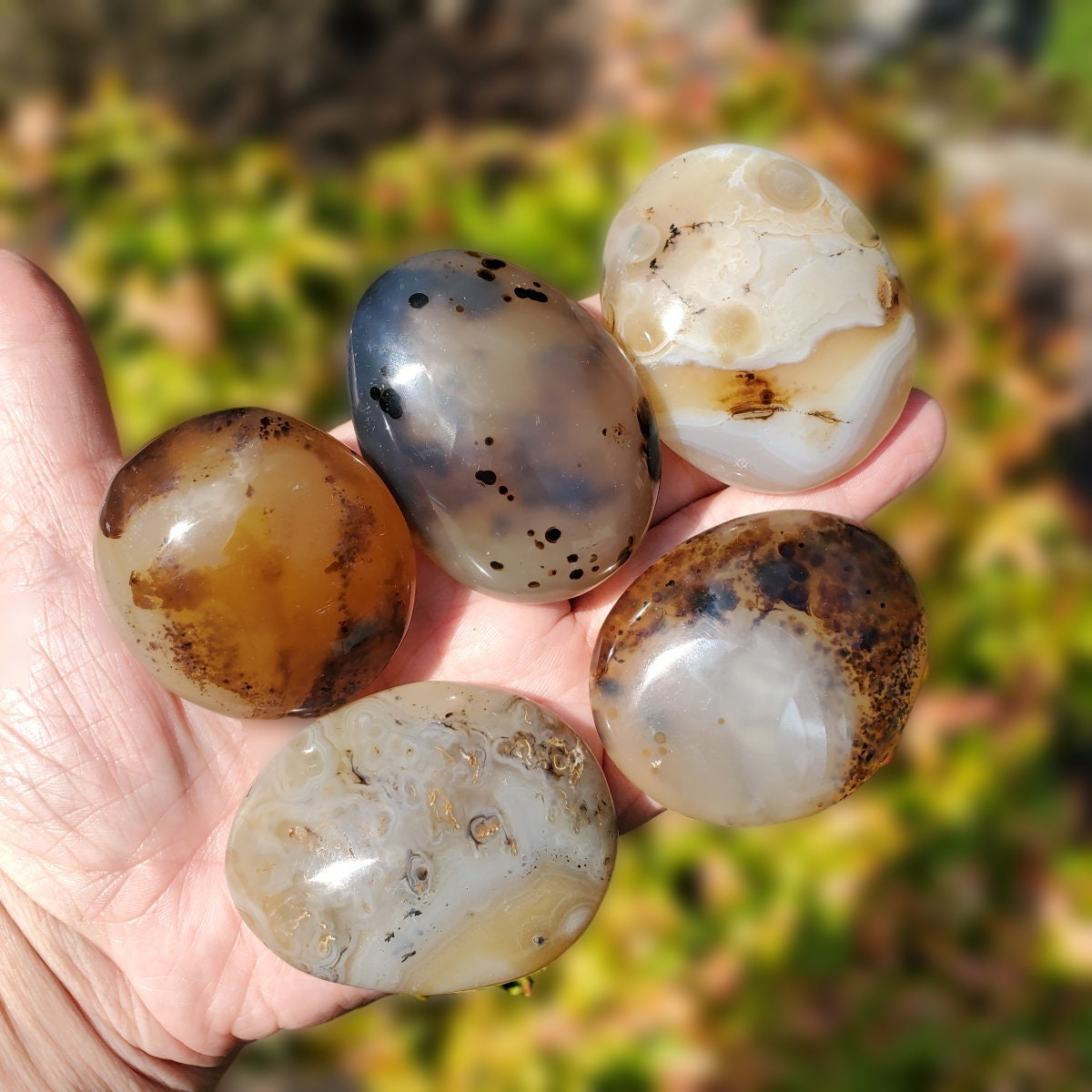 Dendritic Agate Crystal Gallets, Agate Palm Stones For Abundance And Prosperity, Natural Agate Healing Stone, Tranquility And Balance