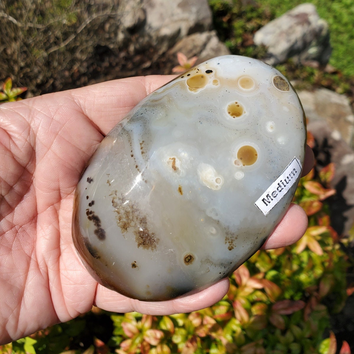 Dendritic Agate Gallet, Agate Palm Stone, Nature Inspired Crystal, Calming Pocket Stone, Abundance Agate, Plant Lover Gift, Gift For Her