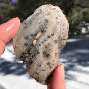Dendritic Agate Lapidary Slab natural stone not polished for cabbing