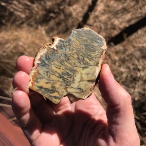 Dendritic Agate Lapidary Slab natural stone not polished for cabbing