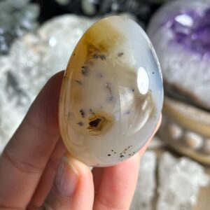 Dendritic Agate Palm Stone
