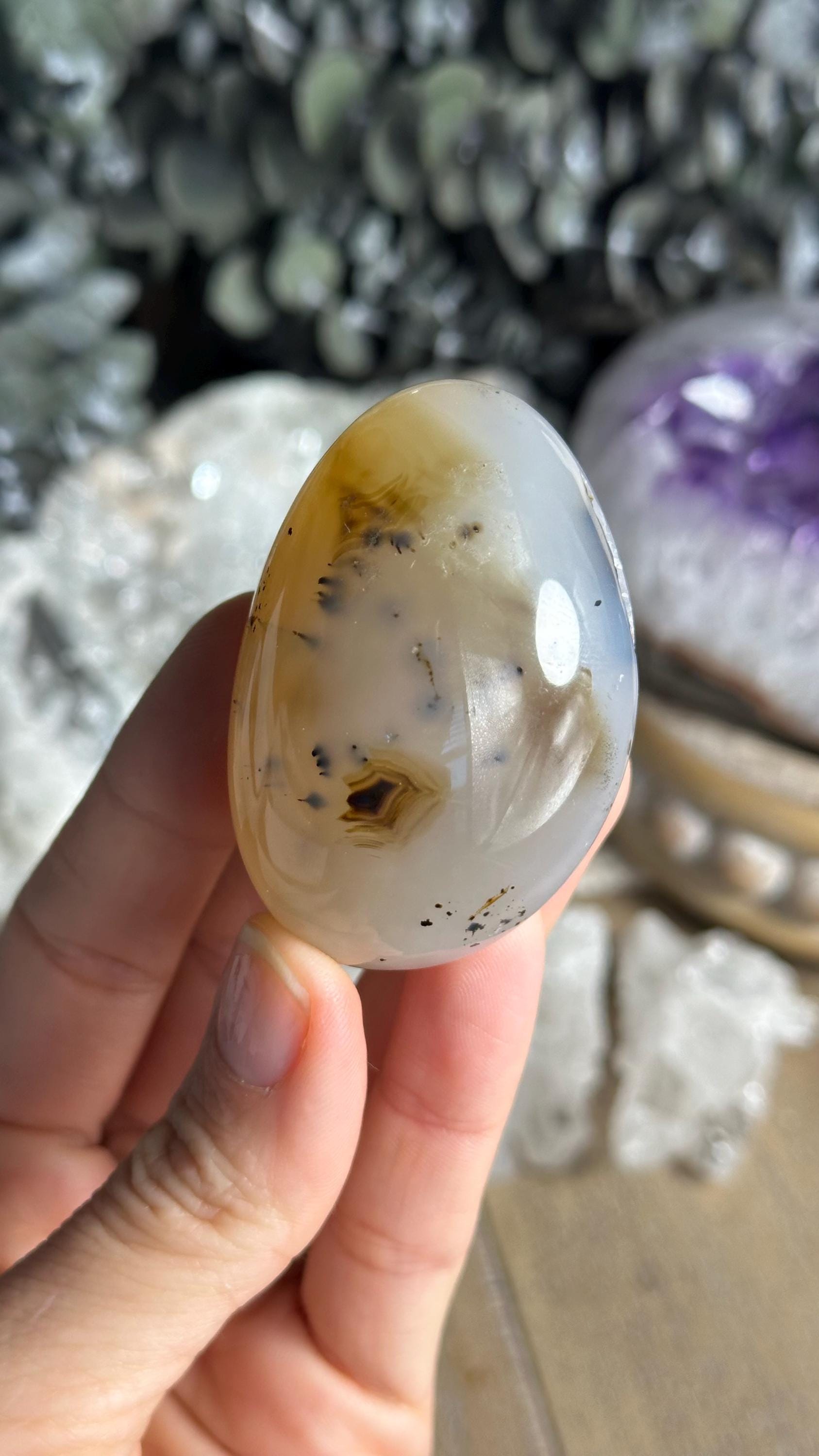Dendritic Agate Palm Stone