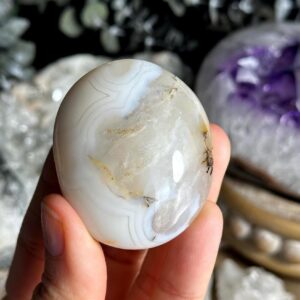 Dendritic Agate Palm Stone