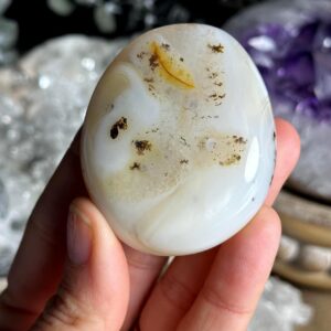 Dendritic Agate Palm Stone