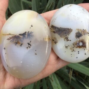 Dendritic Agate Palm Stone 2.75” - 3”