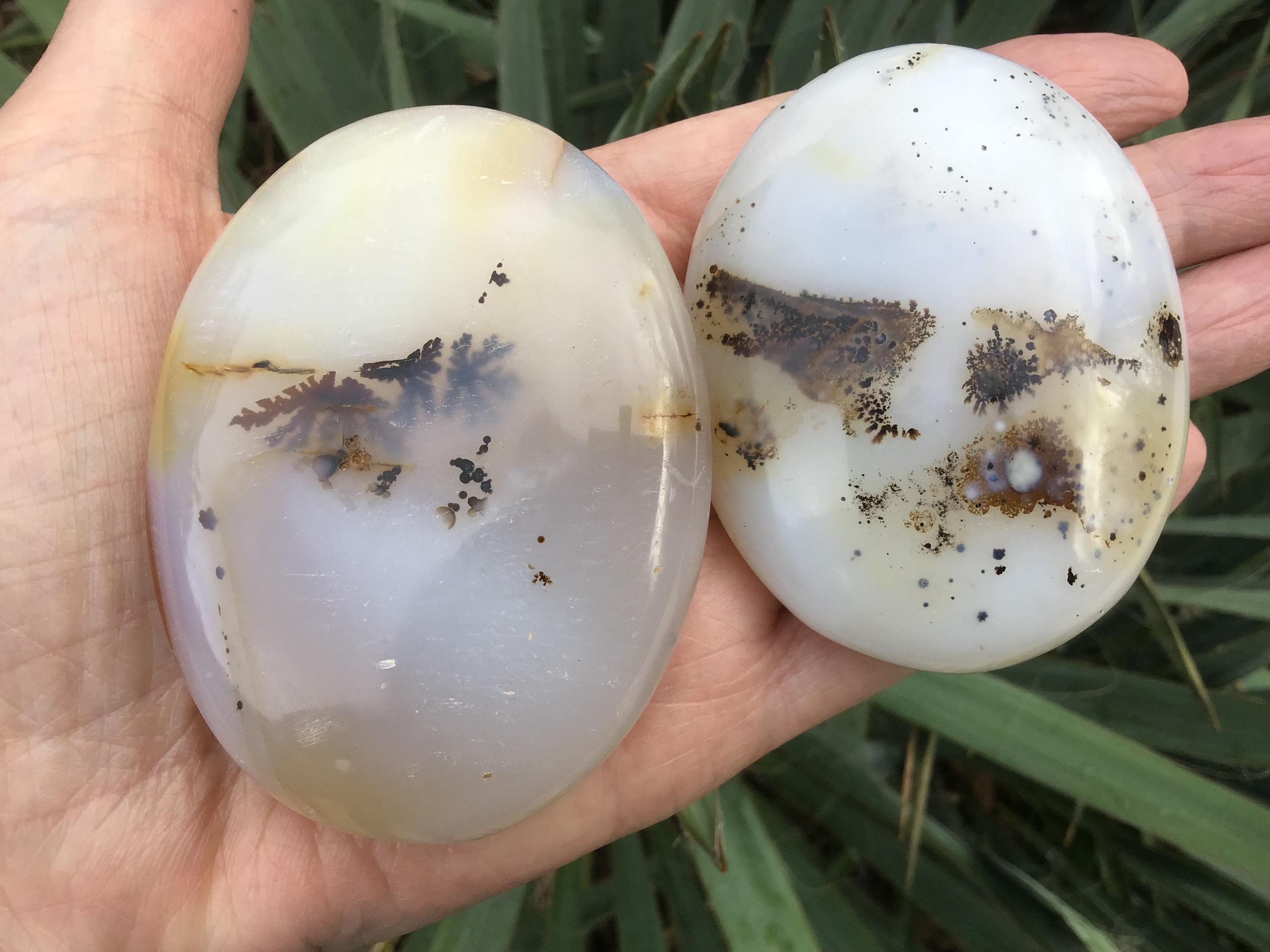 Dendritic Agate Palm Stone 2.75” - 3”