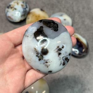 Dendritic Agate Palm Stone // About 2.5" Inches