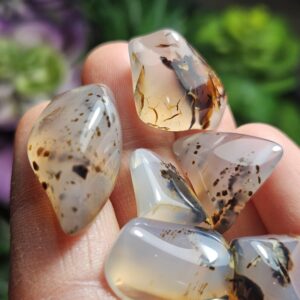 Montana Agate - Dendrite Agate - Tumbled Agate - Agate Crystal - Dendritic Agate - Polished Dendritic Agate - Dendritic Crystals